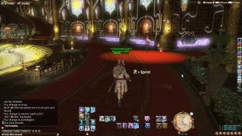 FINAL FANTASY XIV advanced macro show