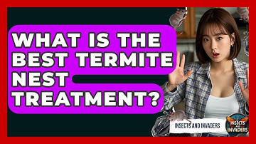 What Is The Best Termite Nest Treatment? - Insects and Invaders