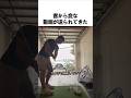 客から変な動画が送られてきた