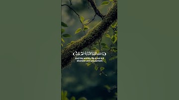 تلاوة خاشعه اسمع بقلبك 🍂🎧#قرآن #قران_كريم #quran #المصحف #اكسبلور #راحة_نفسية #لايك #trending