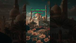 ইসলামিক ভিডিও/Islamic video status/shortsfeed status tiktok