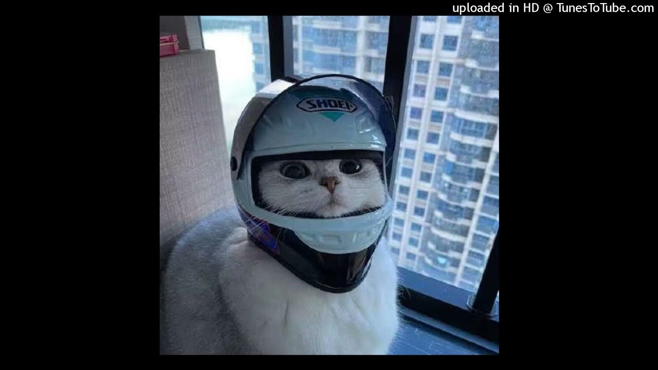 simas - стобой russian & deutsch sommer banger (unreleased)