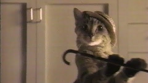 Meow Mix Dancing Cat Commercial 1992
