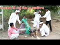 છગનભા એ કર્યુ ટોઠાનુ આયોજન l Chaganbha Comedy l Gujarati Comedy Video