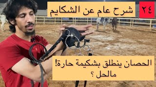 #تعلم_ركوب_الخيل (٢٤) انواع الشكايم | شكيمة للحصان الي ينطلق ؟ أهمية الحنّاك !