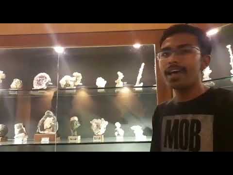 Feedback Received From Students After Visiting Gargoti The Mineral Museum - Nashik.