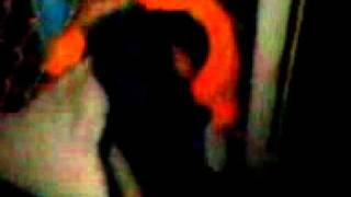 el burro pedo by wasas.3gp