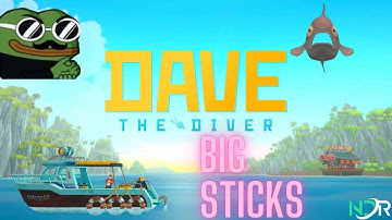 Discover Dave