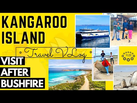 Video: De Bedste Udendørs Aktiviteter På Australiens Kangaroo Island