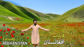 Faryab Afghanistan | Natural Flowers | فاریاب افغانستان