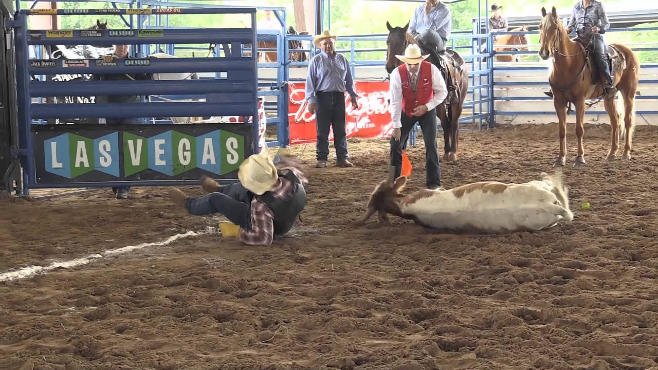 2015 Chute Dogging, Rodeo In The Rock