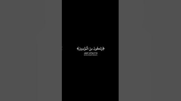 شاشة سوداء قران كريم | سورة الأنعام {ولو ترى إذ وقفوا على النار} القارئ محمد اللحيدان