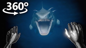 UNDERWATER in 360° VR / 4K 😱