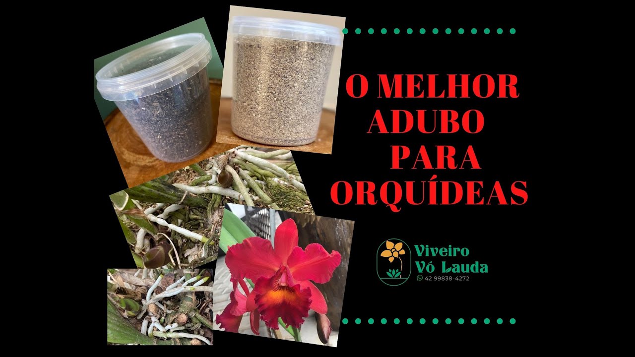 CONHEÇA O MELHOR ADUBO PARA FLORIR, ENRAIZAR E FAZER SUA ORQUÍDEA ...