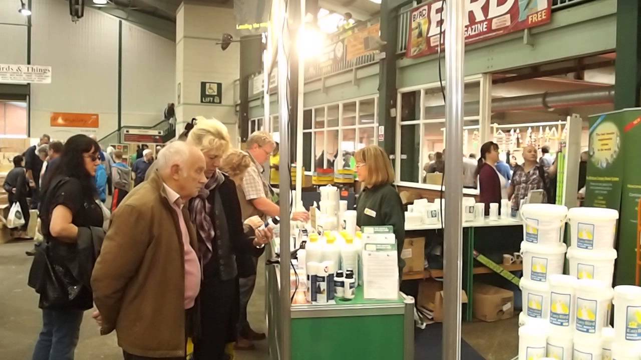 2011 National Stafford Sally serving YouTube