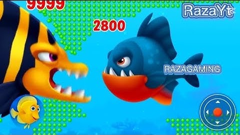 Fishdom🐠 Ads Mini Games New 9.7 Update video Hungry Fishs 🐠 Gameplay 2025 lt,s Raza Gaming yt