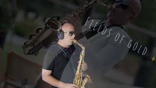 Fields Of Gold  Sting  Four Play  Doron Farhy Saxophonist Cover