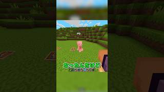 名札の秘密 #マイクラ