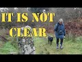 Scottish Winter Adventure - Walking Loch Coille Bharr with the Dog