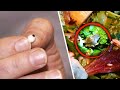 The Most Bizarre Things People Found Hiding in Their Food