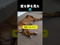 もっと飛ばせ