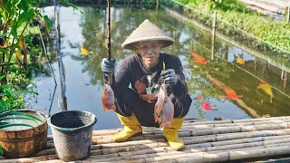 Lezatnya Nila Kuah Lombok Ijo | Acar Timun dan Cemilan Jagung Manis Rebus | Hasil dari Kebun Sendiri