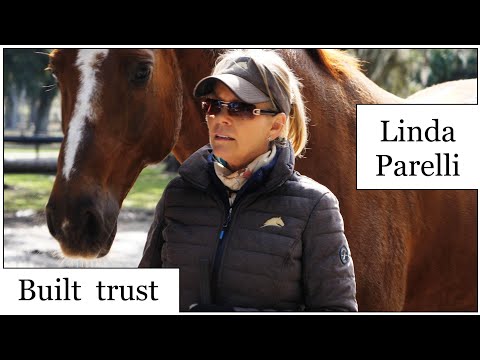 LINDA PARELLI! HOW TO CONNECT WITH YOUR HORSE&rsquo;S MIND?