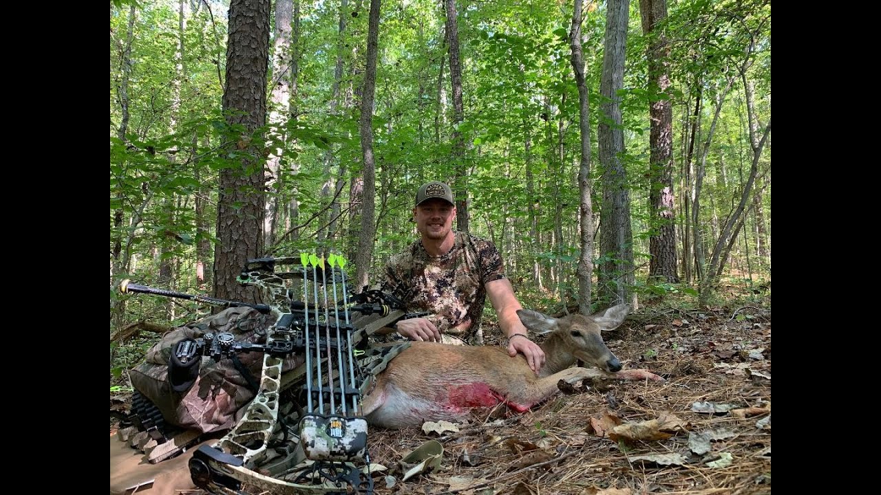 North Carolina Public Land / Early Season Archery Hunt YouTube