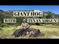 GIANT COLORADO HOG HUNT WITH AIRFORCE TEXAN BIG BORE AIRGUN W/CF BOTTLE LSS/SS