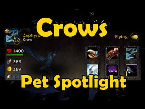 camera iphone 8 plus apk Crows - Pet Spotlight