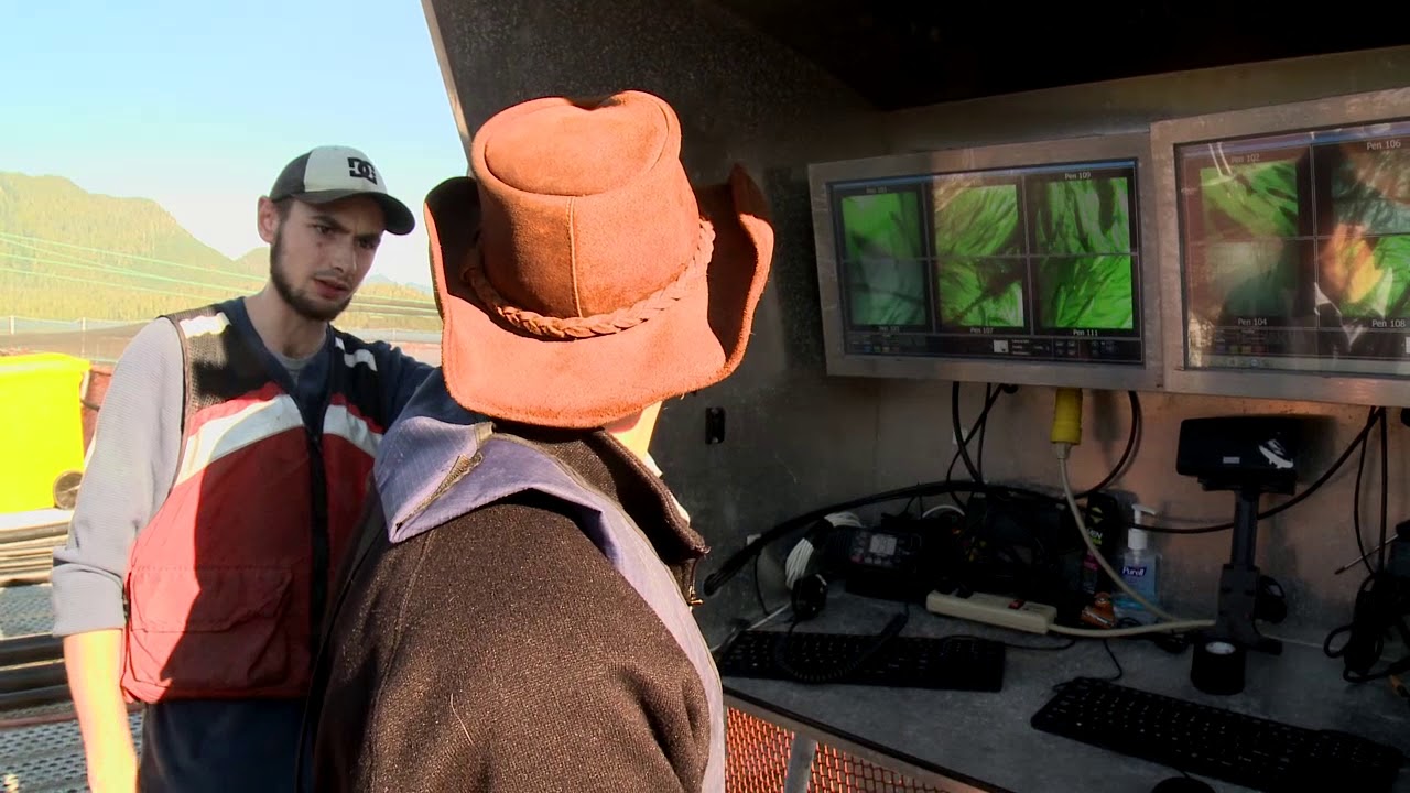 Cermaq   Greg Foreman