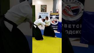 Aikido head throw #алексейлобзов #selfdefense #martialarts #kungfu #stevenseagal #ueshiba