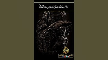يارب لا تجعل قلوبنا قاسية - القارئ تامر الشاذلى