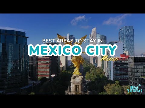 Reproductor de vídeo de YouTube