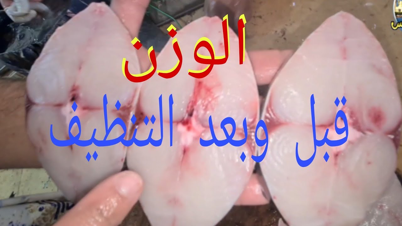 @ كم فقدت السمكة وزن نتيجة تنظيفها.تعرف على وزن السمكة قبل وبعد التنظيف. مع الشيف:حسام حسن.