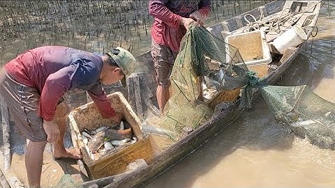 đi kéo rập xếp trúng luồng cá ngát khủng,, kênh Htgc, tập 2,