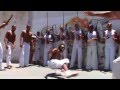 Best capoeira in brazil african martial art resistance to slavery