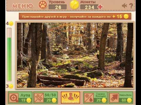 Кто же кот. Где же кот 5941. Игра котики. Смешные кошки. Где же кот 2309.