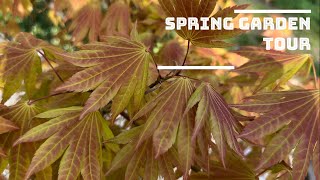 Spring 2024 Japanese Maple Garden Tour