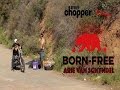 Born Free Invited Builder Arie Vee