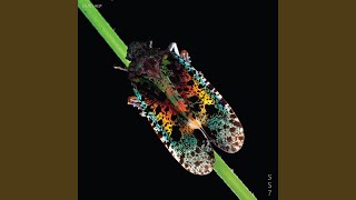 Download Lagu Atnias MP3