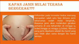 Download Hamil 5 Bulan Belum Terasa Gerakan Janin Normal Atau Tidak Ya? Video MP3 Hamil 5 Bulan Belum Terasa Gerakan Janin Normal Atau Tidak Ya?