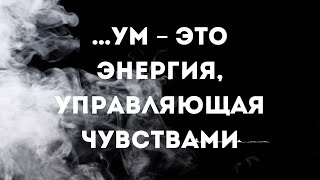 … ум – это энергия, управляющая чувствами