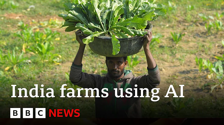 Artificial intelligence comes to farming in India | BBC News - DayDayNews