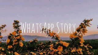 WhatsApp Story | Johnny Orlando, Mackenzie Ziegler - What If