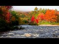USA Flowing River in Autumn Forest 4k. Relaxing River, Water Sounds, White Noise for Sleep, Study.