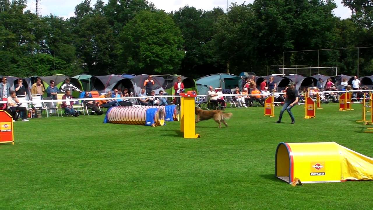 NK 080 Jumping Erich Schnijder   Jay Dee