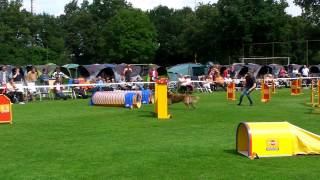Nk 080 Jumping Erich Schnijder Jay Dee