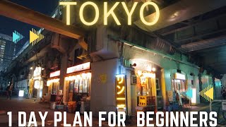Tokyo 1 Day Itinerary l 24 Hours in Tokyo