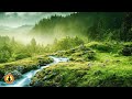 🔴 Relaxing Music 24/7, Stress Relief Music, Sleep Music, Meditation Music, Study, Flowing River